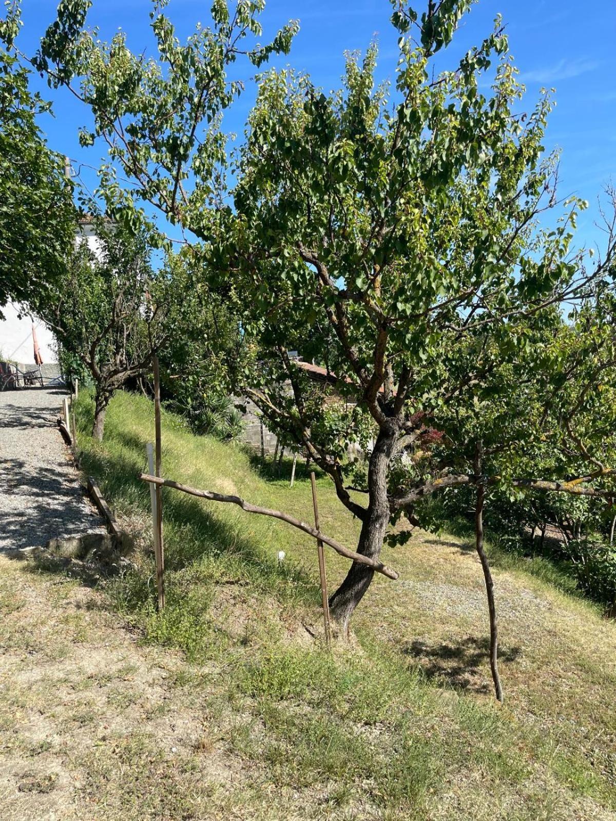Casa Petra - Casa Tre Stelle - Casa Caneva - Ferien für 6-14 Personen Ponti Esterno foto